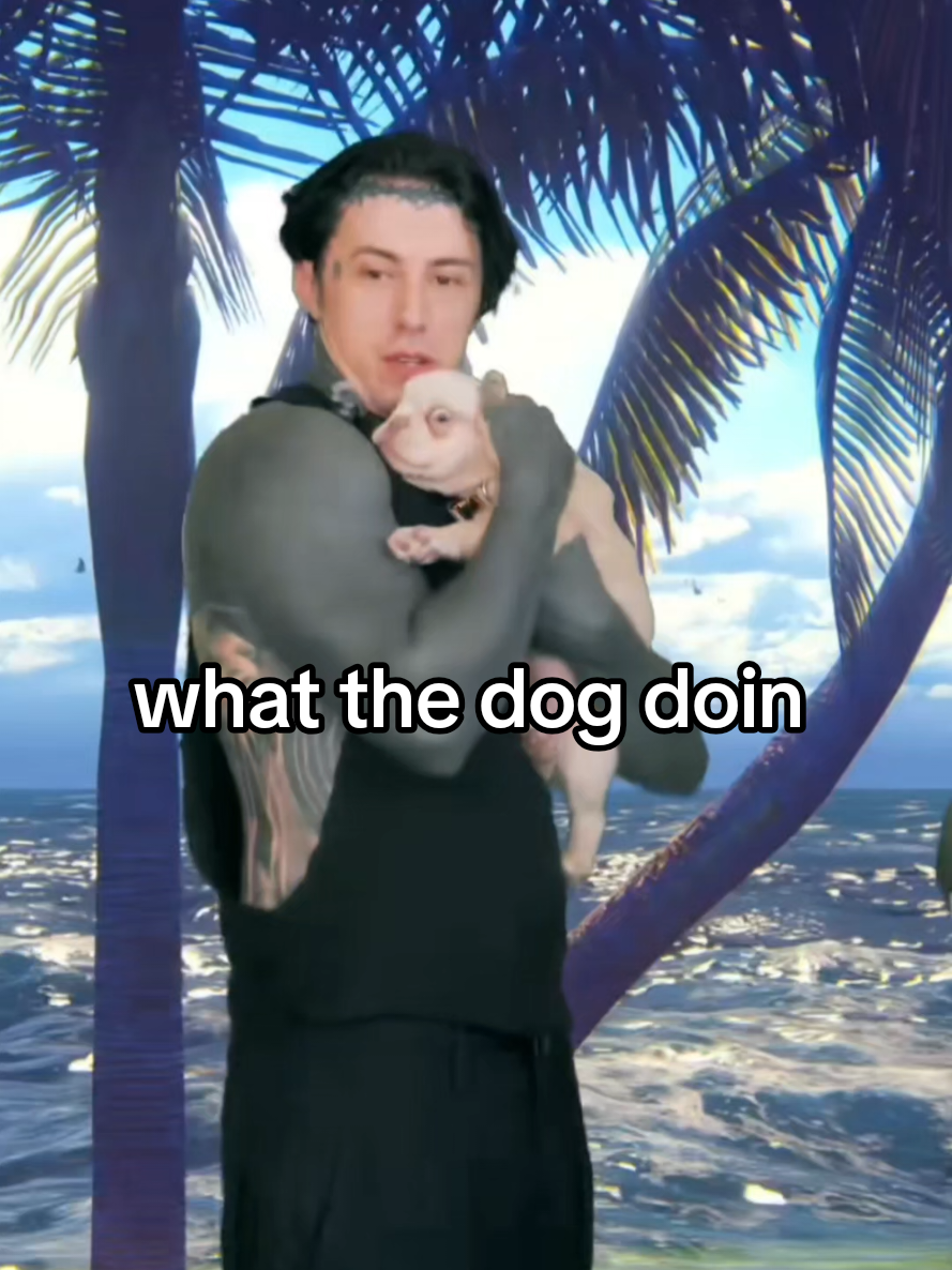 @โฆ ๐๐ข๐ฅ๐ณ๐จ๐จ๐ฆ๐ข๐