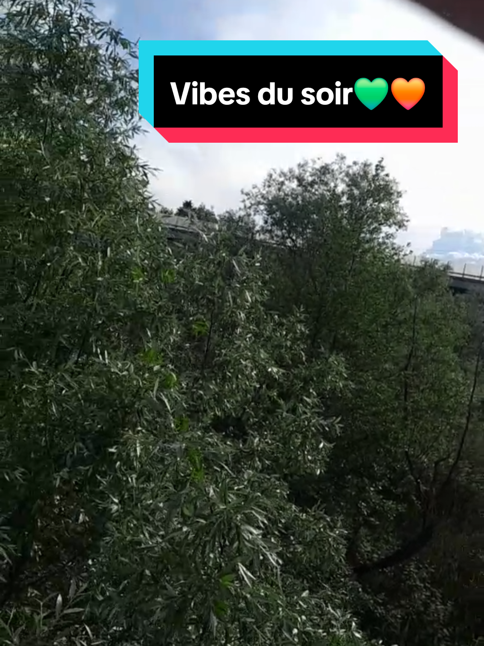 @Franshups