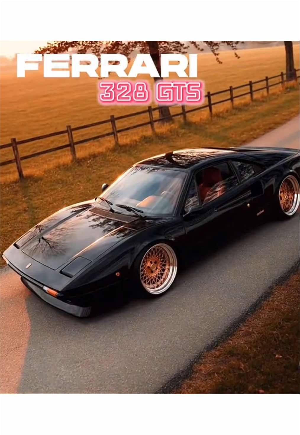 @mostwantedmotors