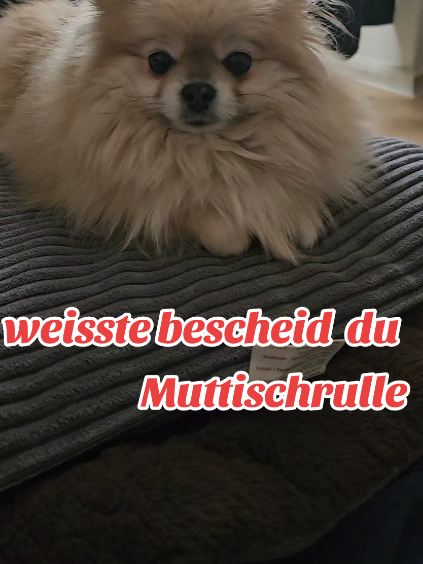 @Nadine_aus_MD