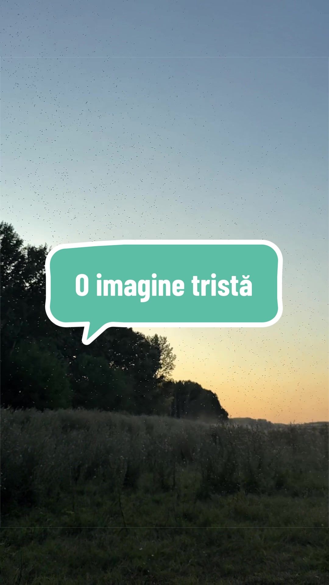 @OlteancaLuDi