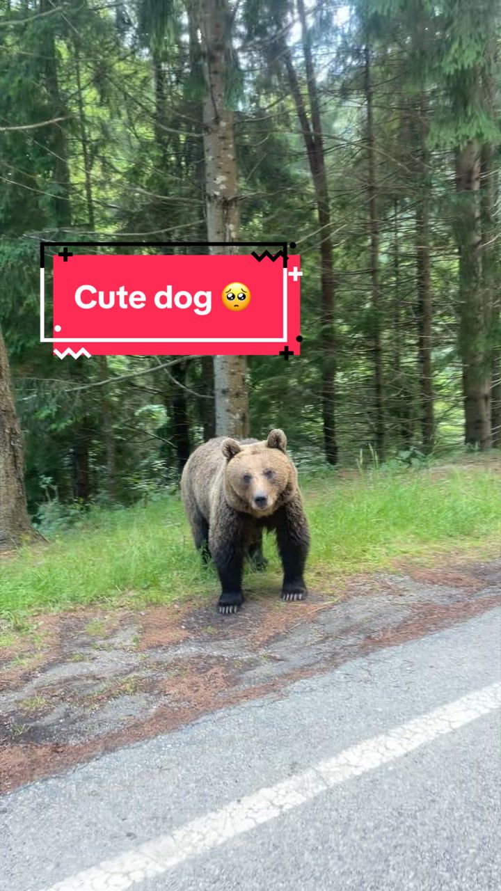 @🥇🏆Shane_travels8🥇🧳