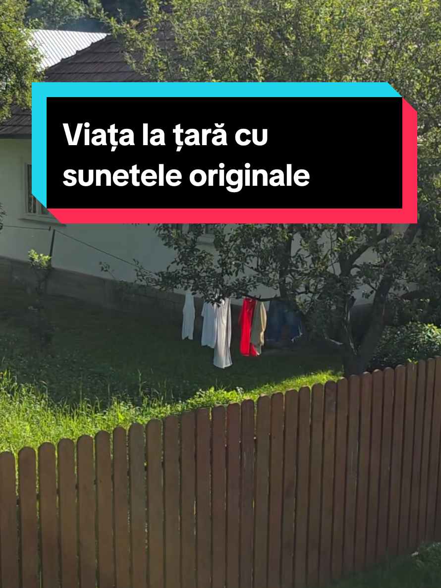@Prajiturela