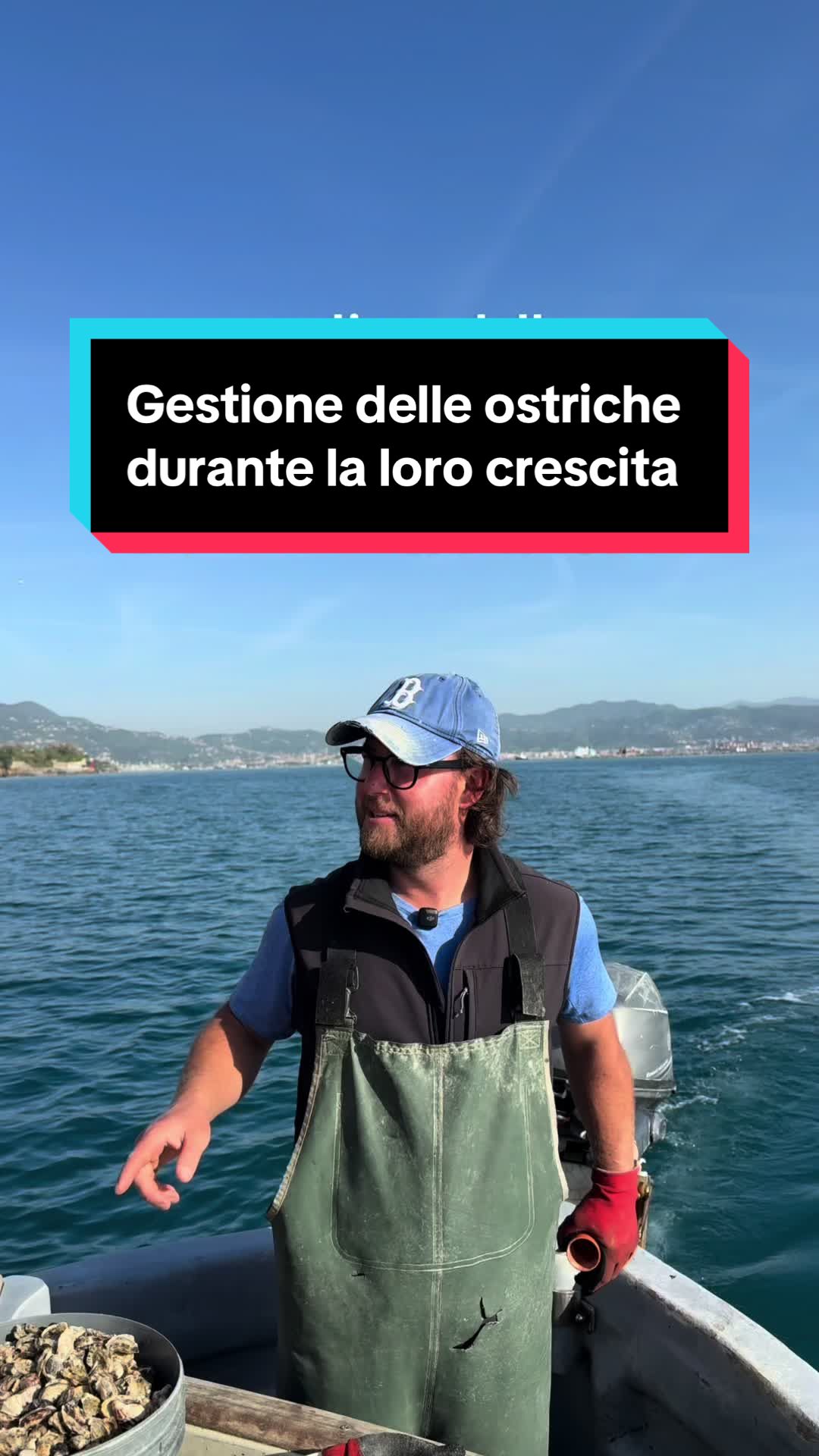 @Mitili&Mitili