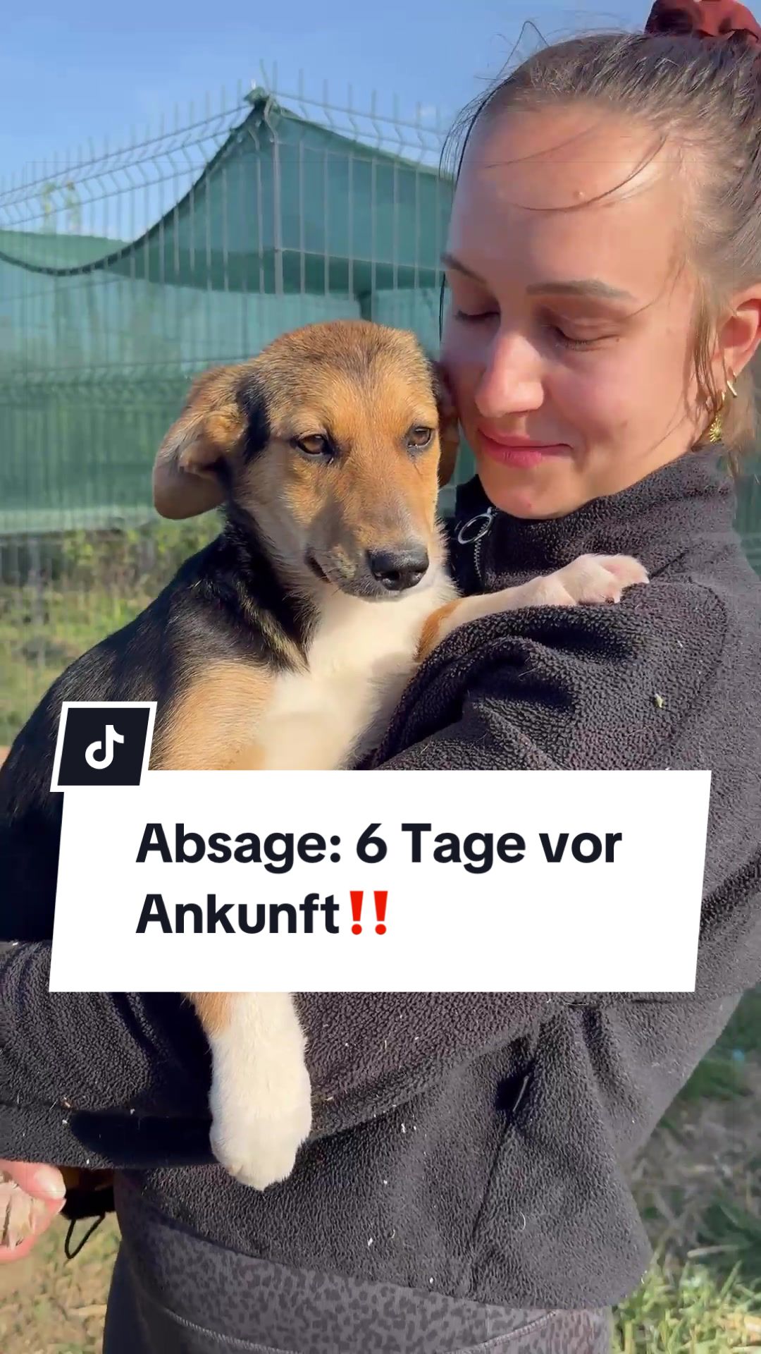 @Ein Herz für Streuner e.V.