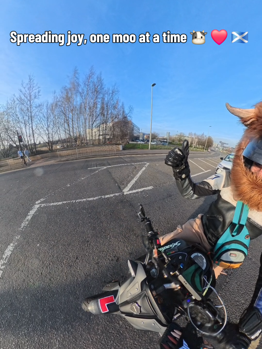 @Highland Cow Rider 🐮🏍