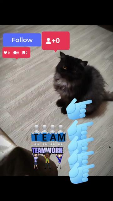 @TikTok Skills