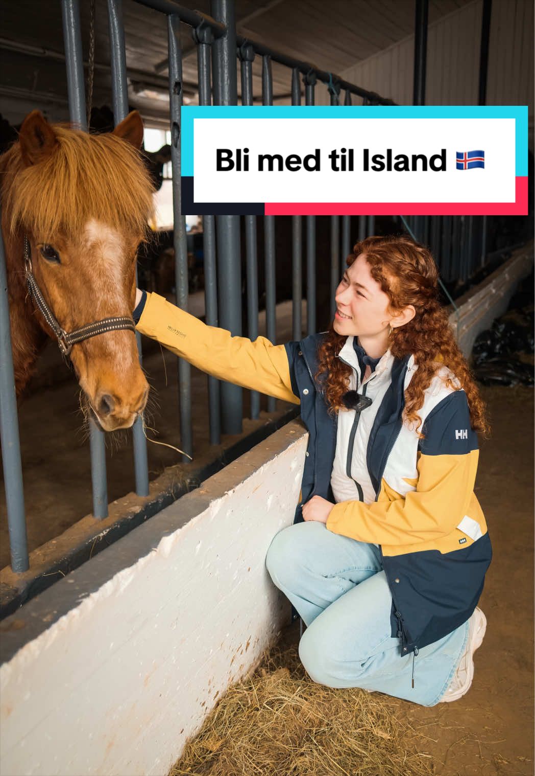 @Ellen Aabol
