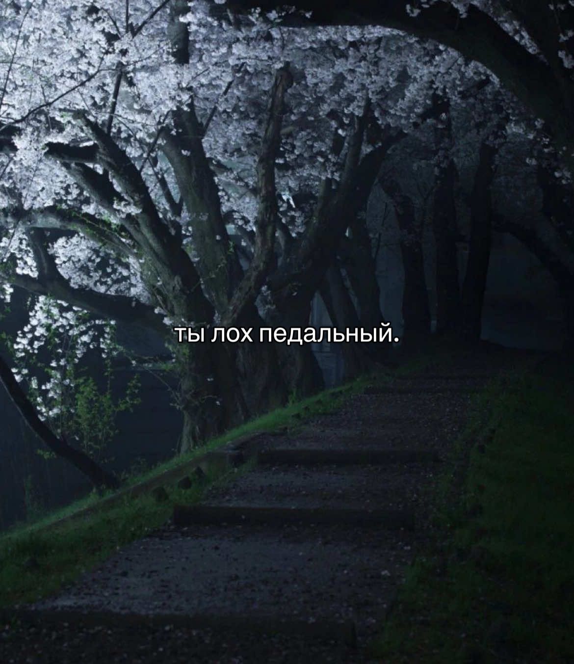 @ღ ʏᴇʜᴏʀ ღ
