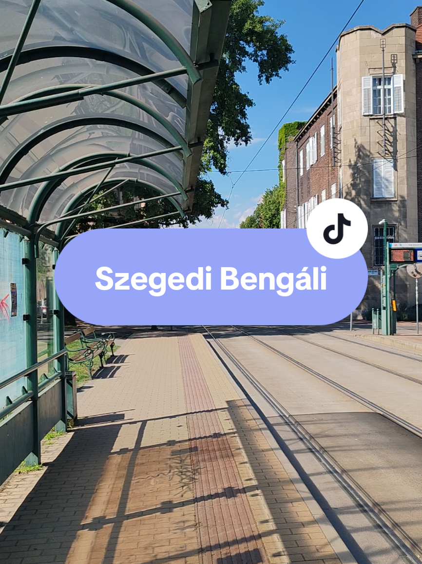 @PTF - Public Transport Fan