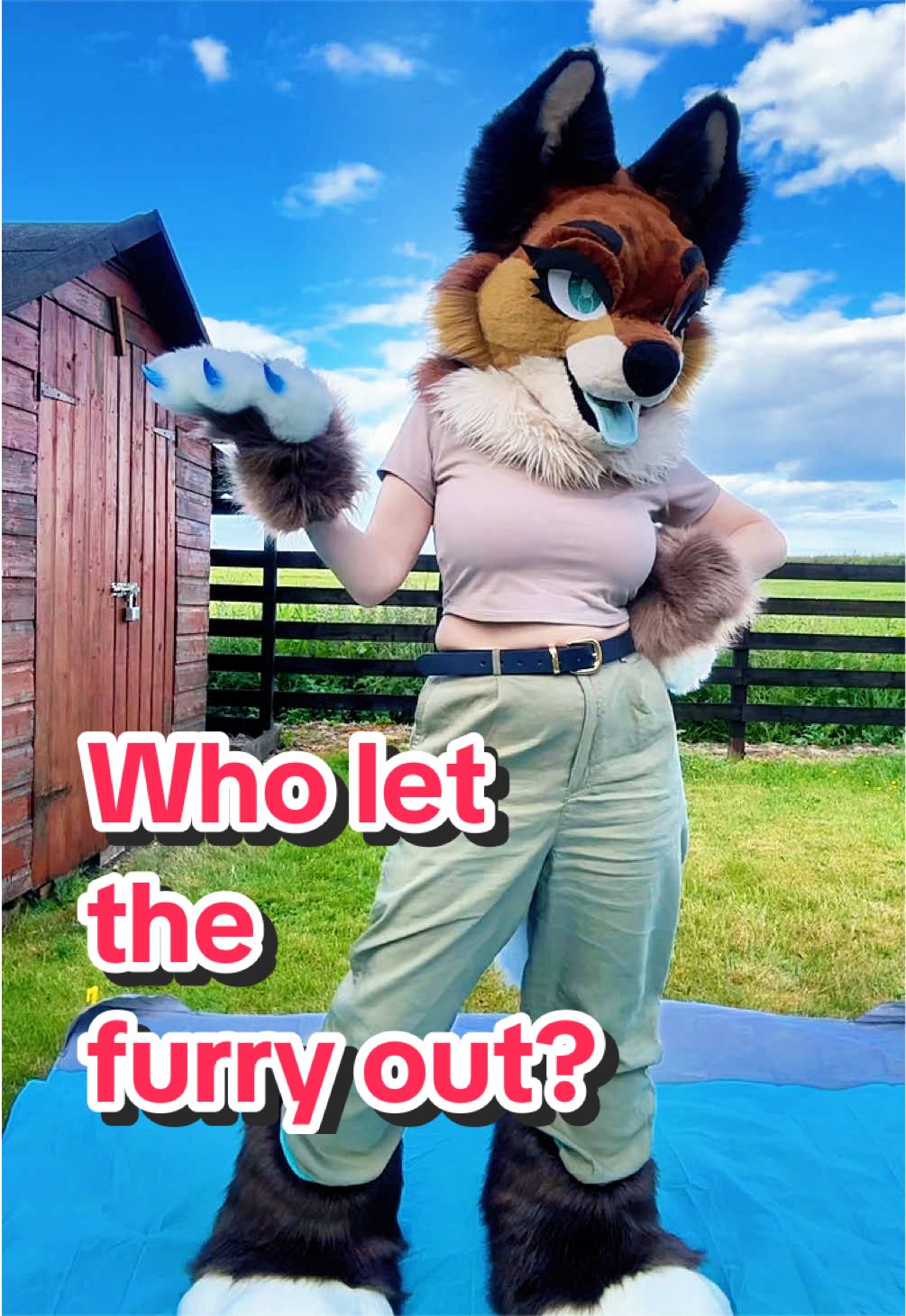 @LilFoxCori