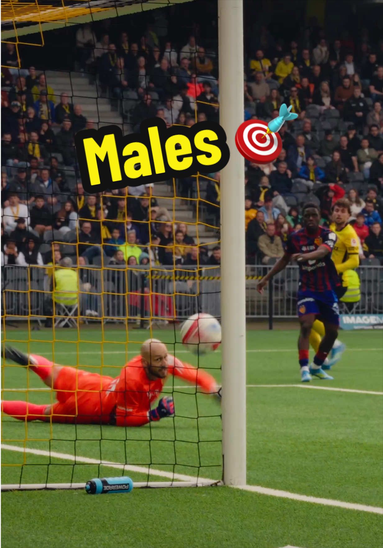 @BSC YOUNG BOYS