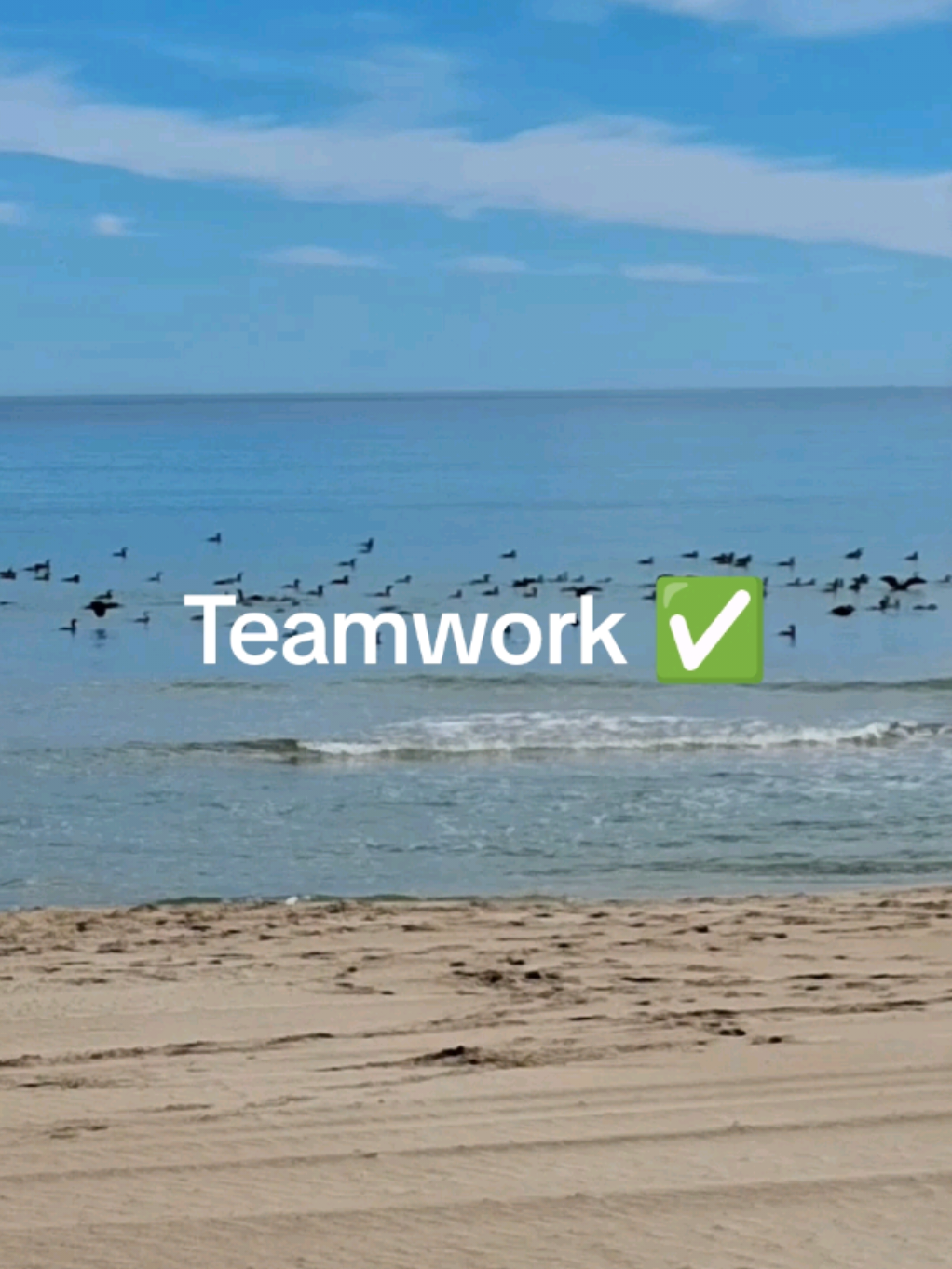 @Teamwork