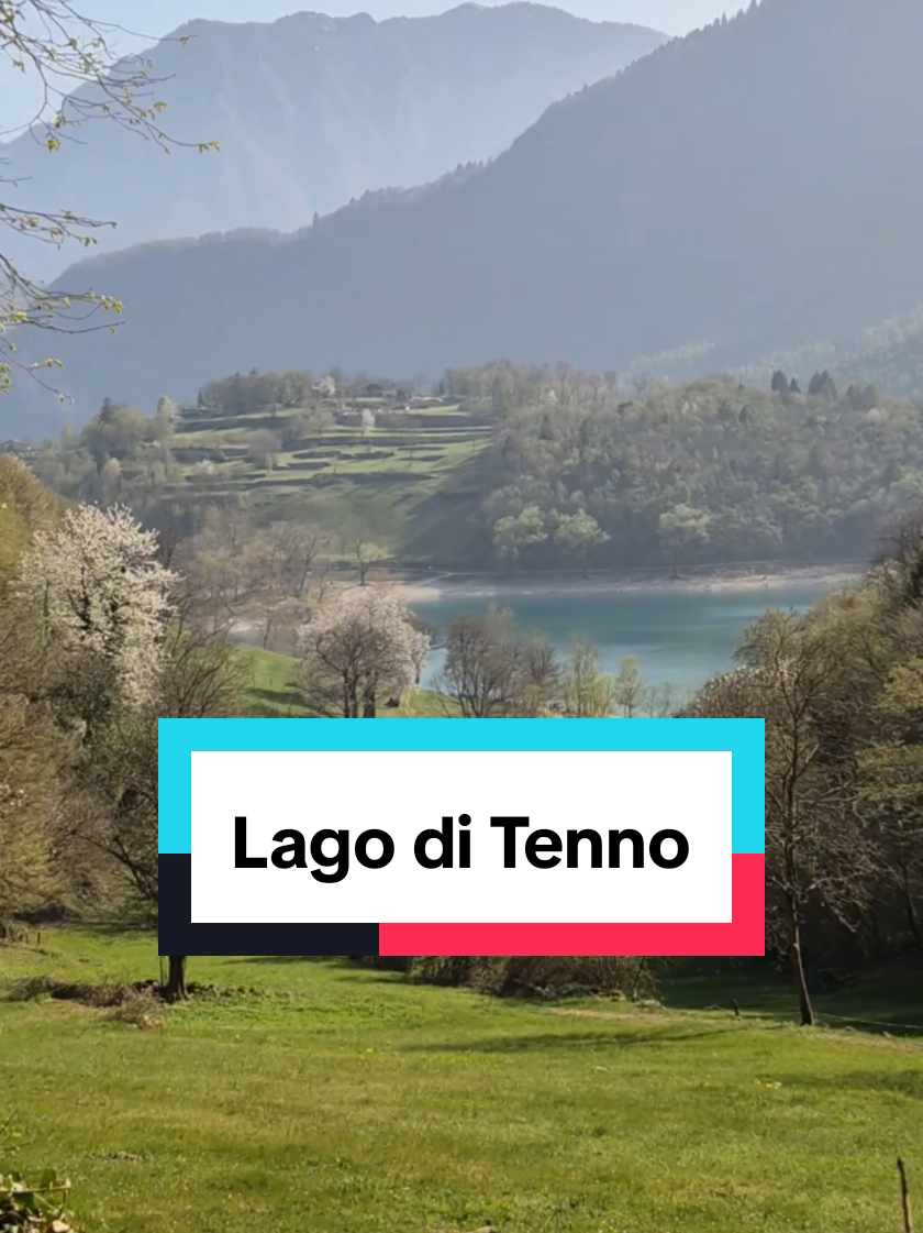 @Alberto_Cord_𝕋𝕣𝕖𝕜𝕜𝕚𝕟𝕘