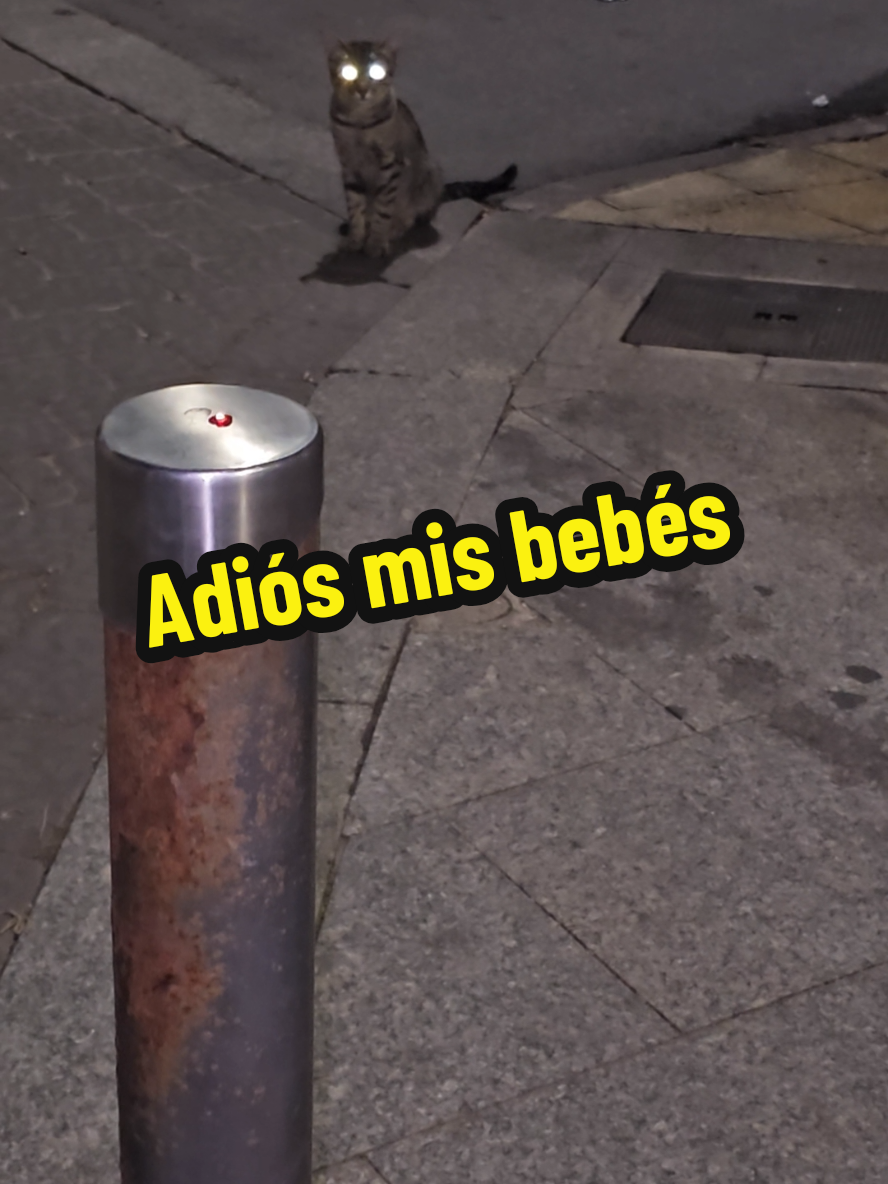 @garritasespaciales