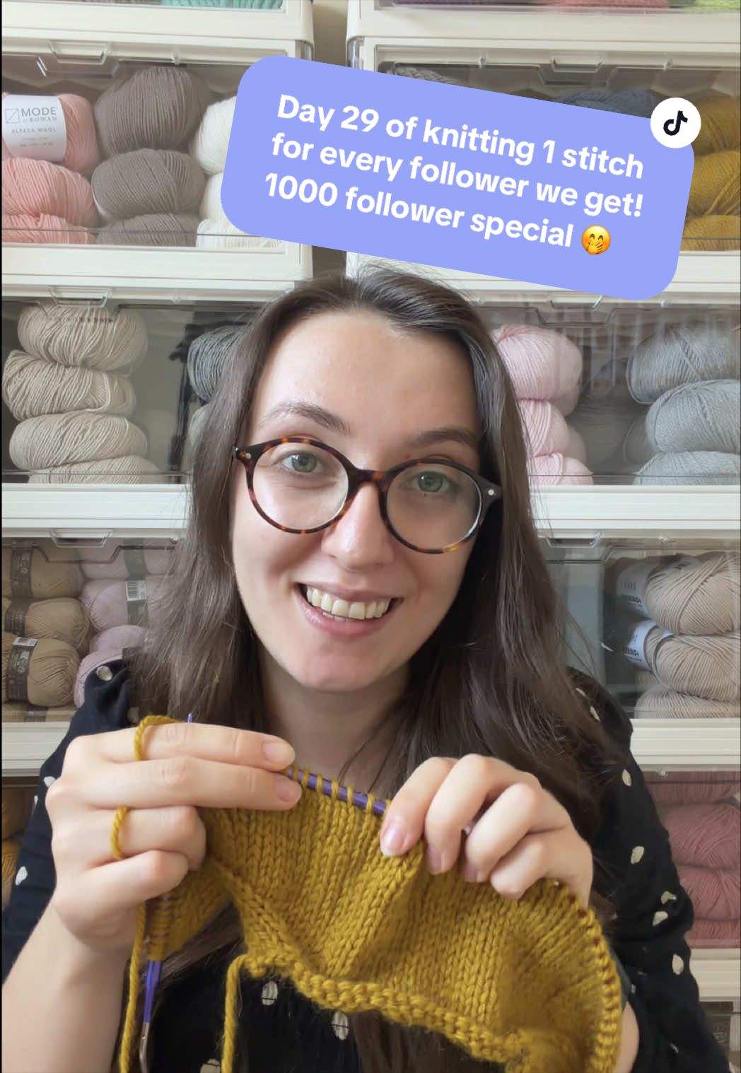 @The Yarn Nest