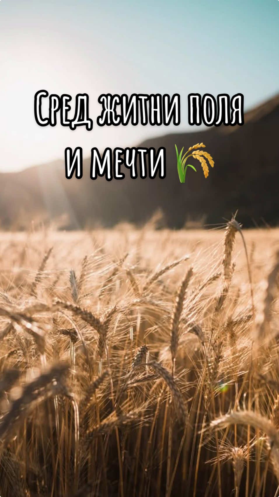 @G. A 🐝