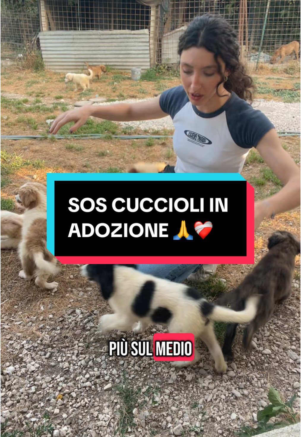 @chiaratarquini
