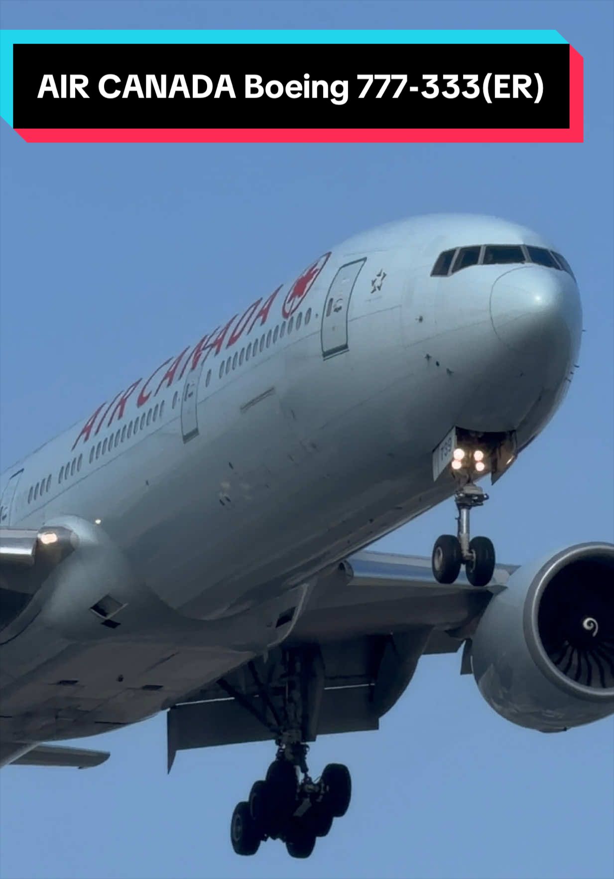 @AVIATION_YYZ_SPOTTER