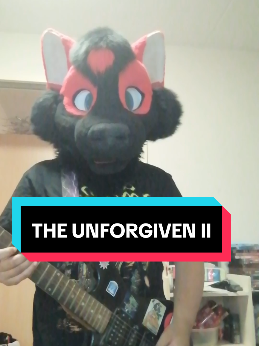 @Hikaji The Husky