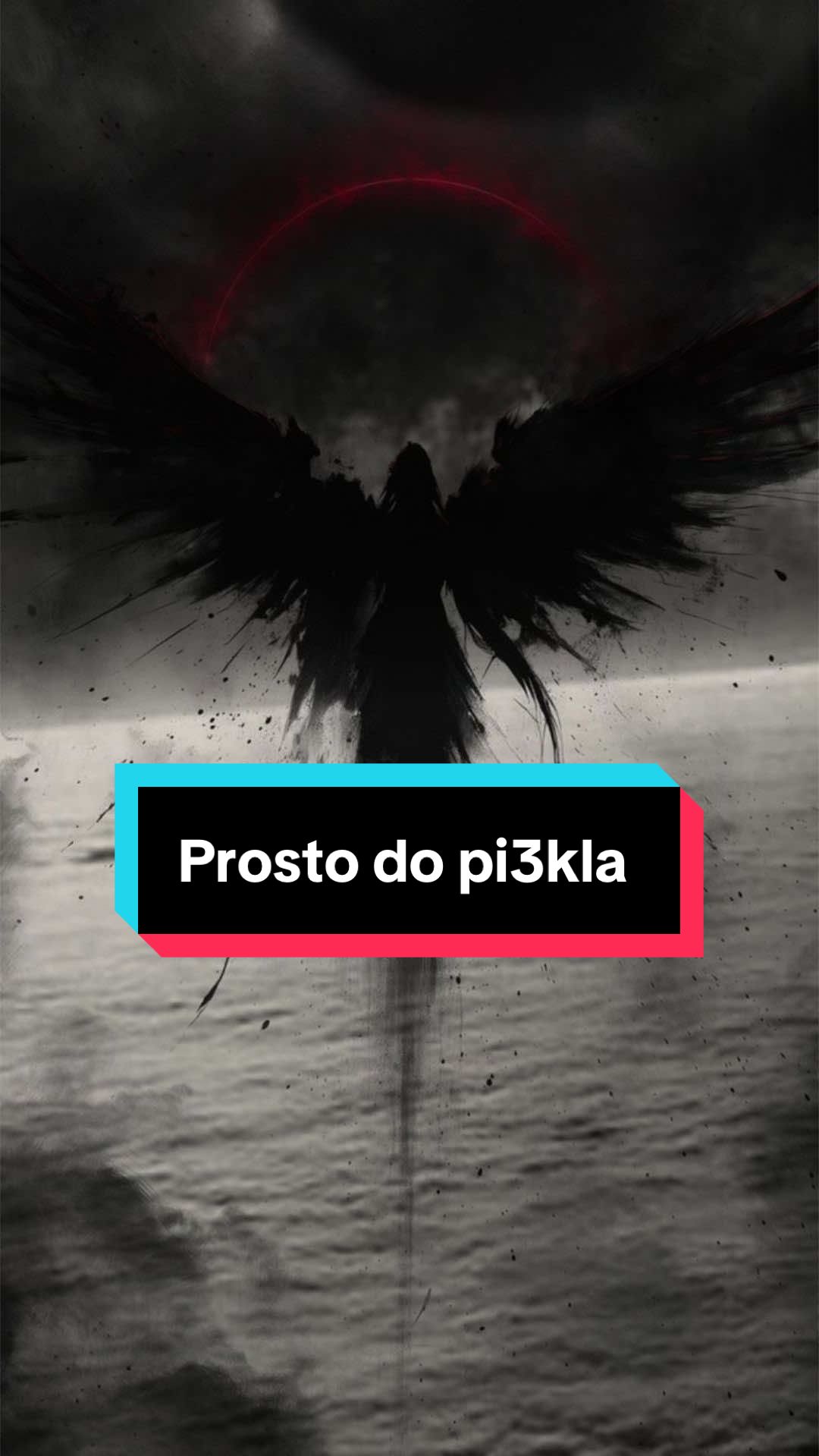 @✒️Dominika Paprotny 📚