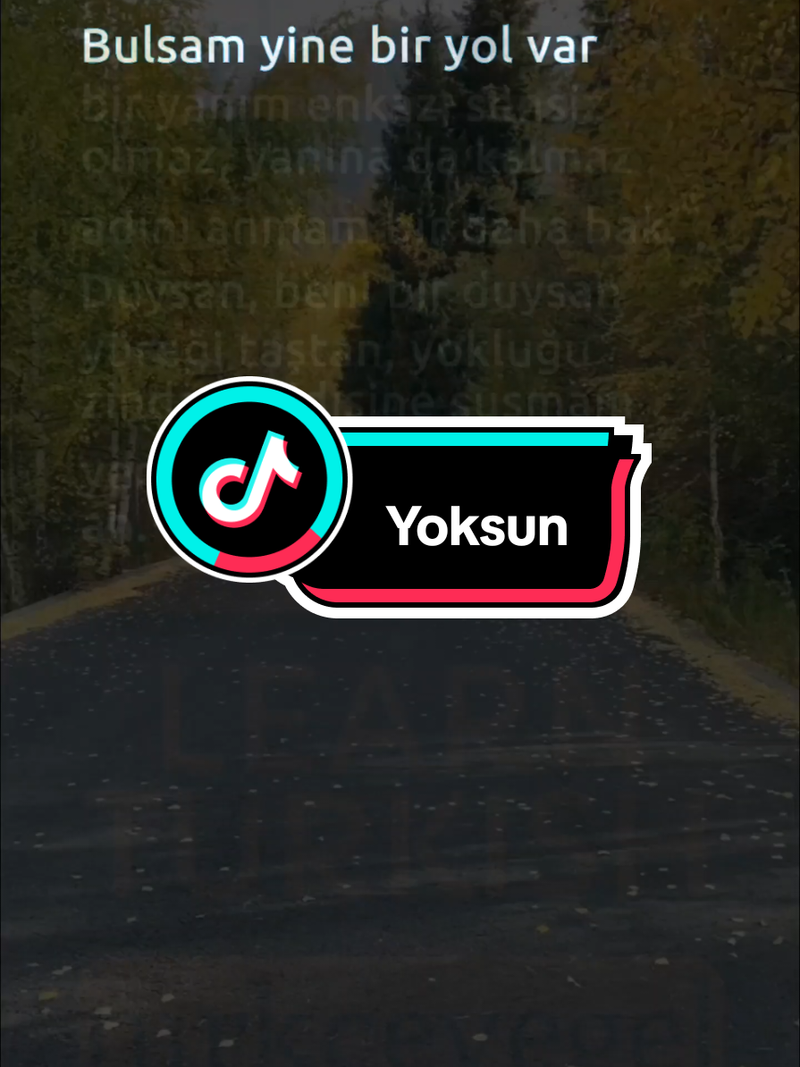 @Learn Turkish with T&uuml;rk&ccedil;eyeGel