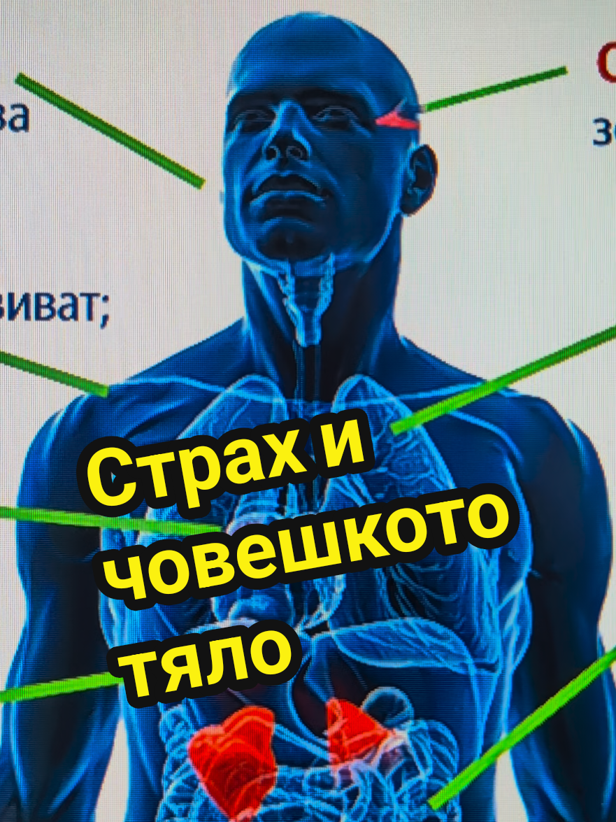 @Valentin B Naumov