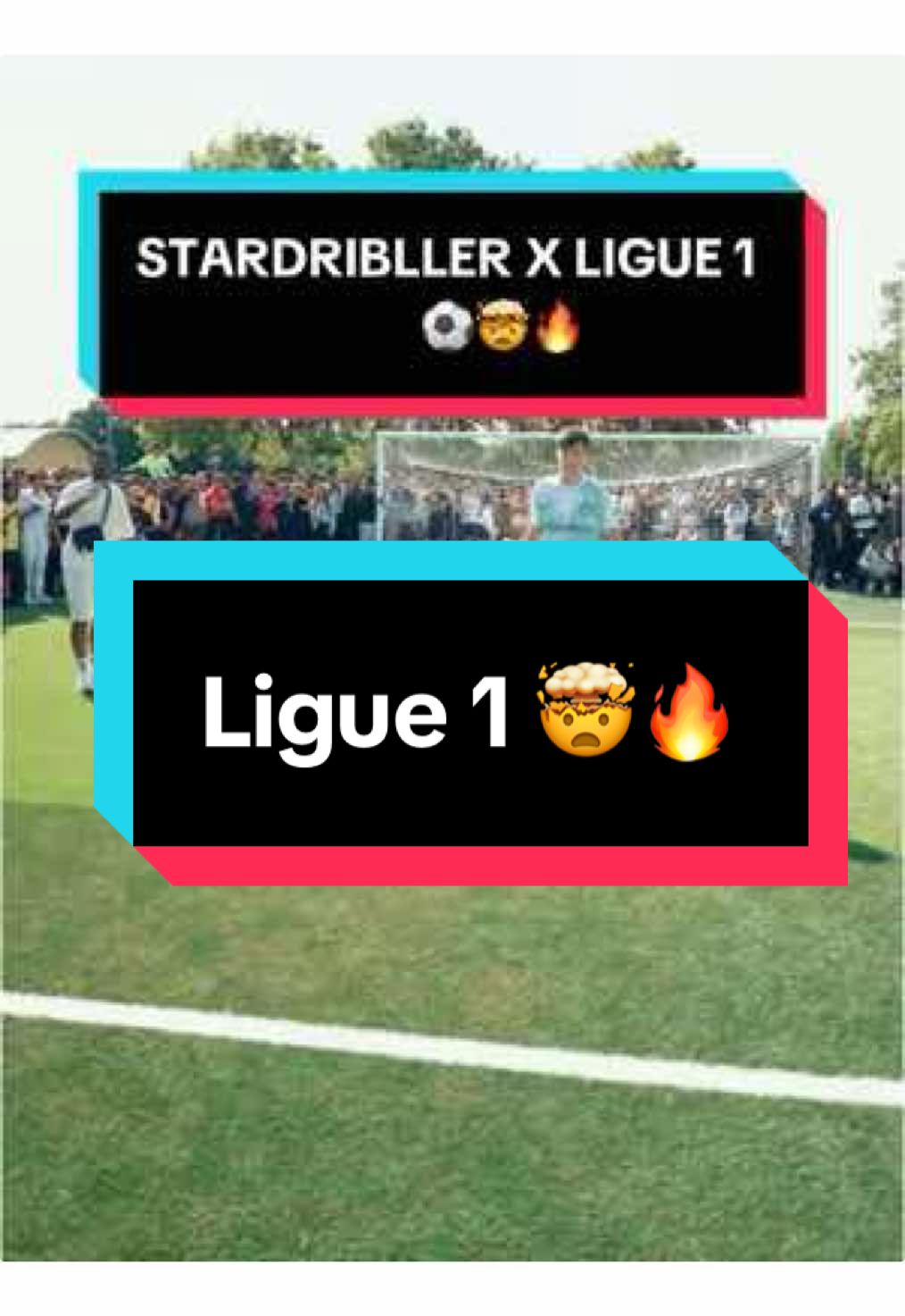 @Stardribller