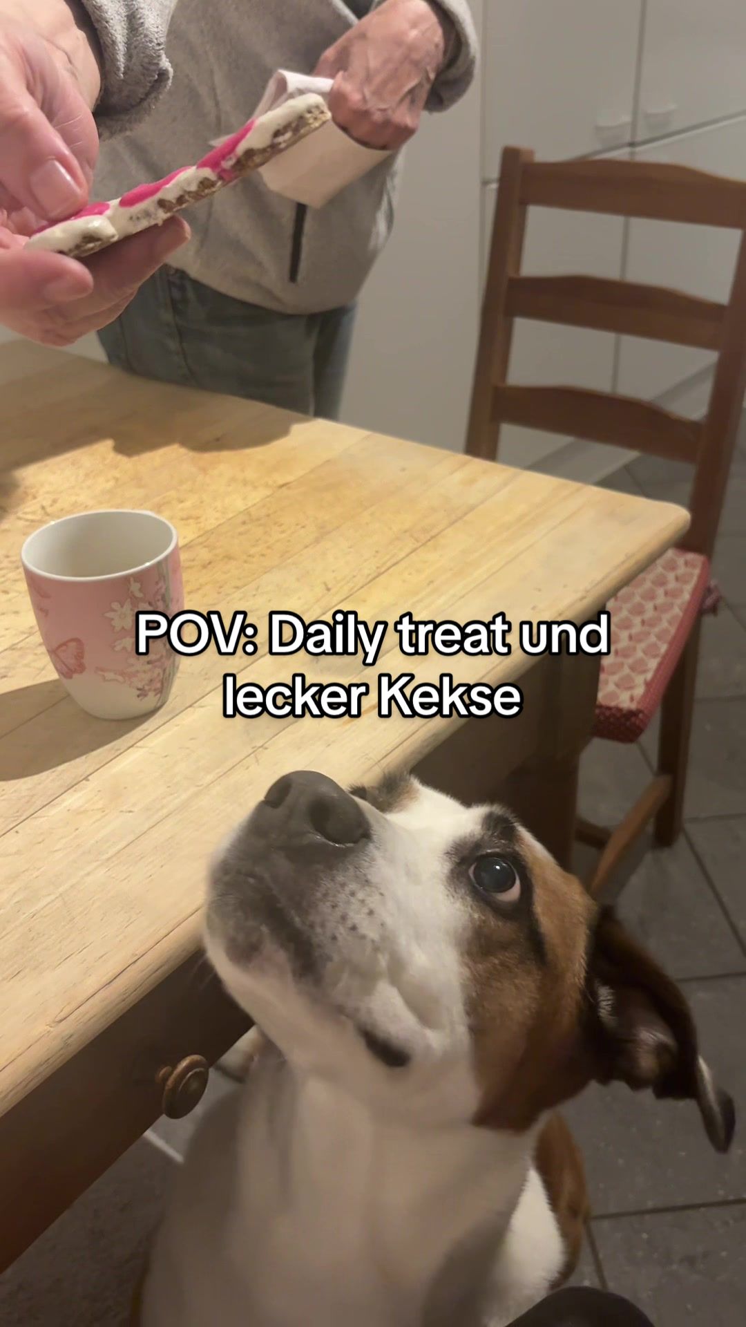 @Herr Dexti
