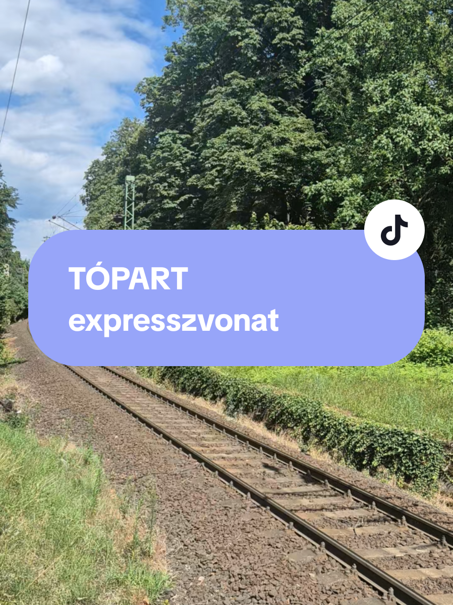 @PTF - Public Transport Fan