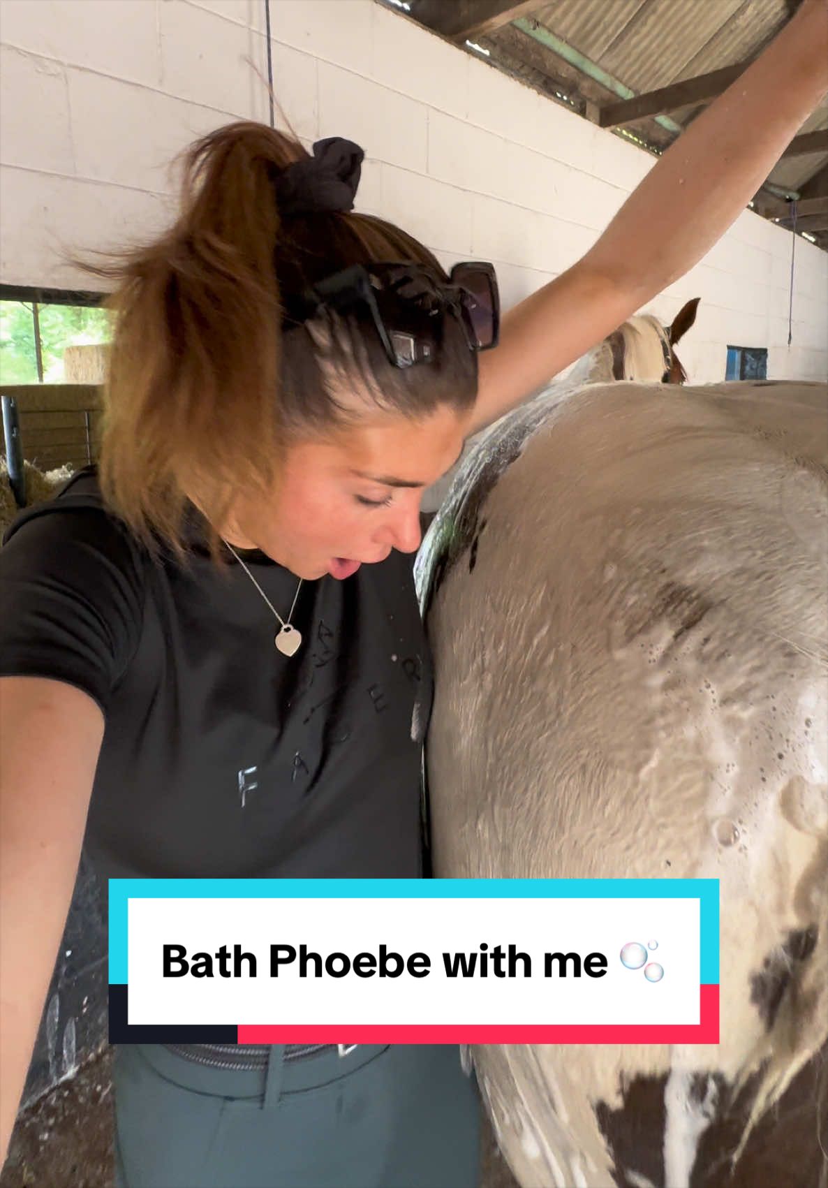 @Phoebe Scholtens