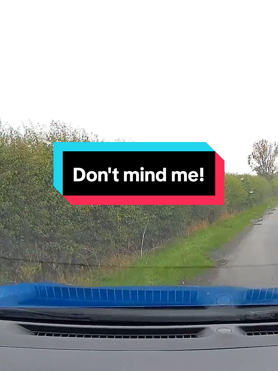 @Dash Cams 📸