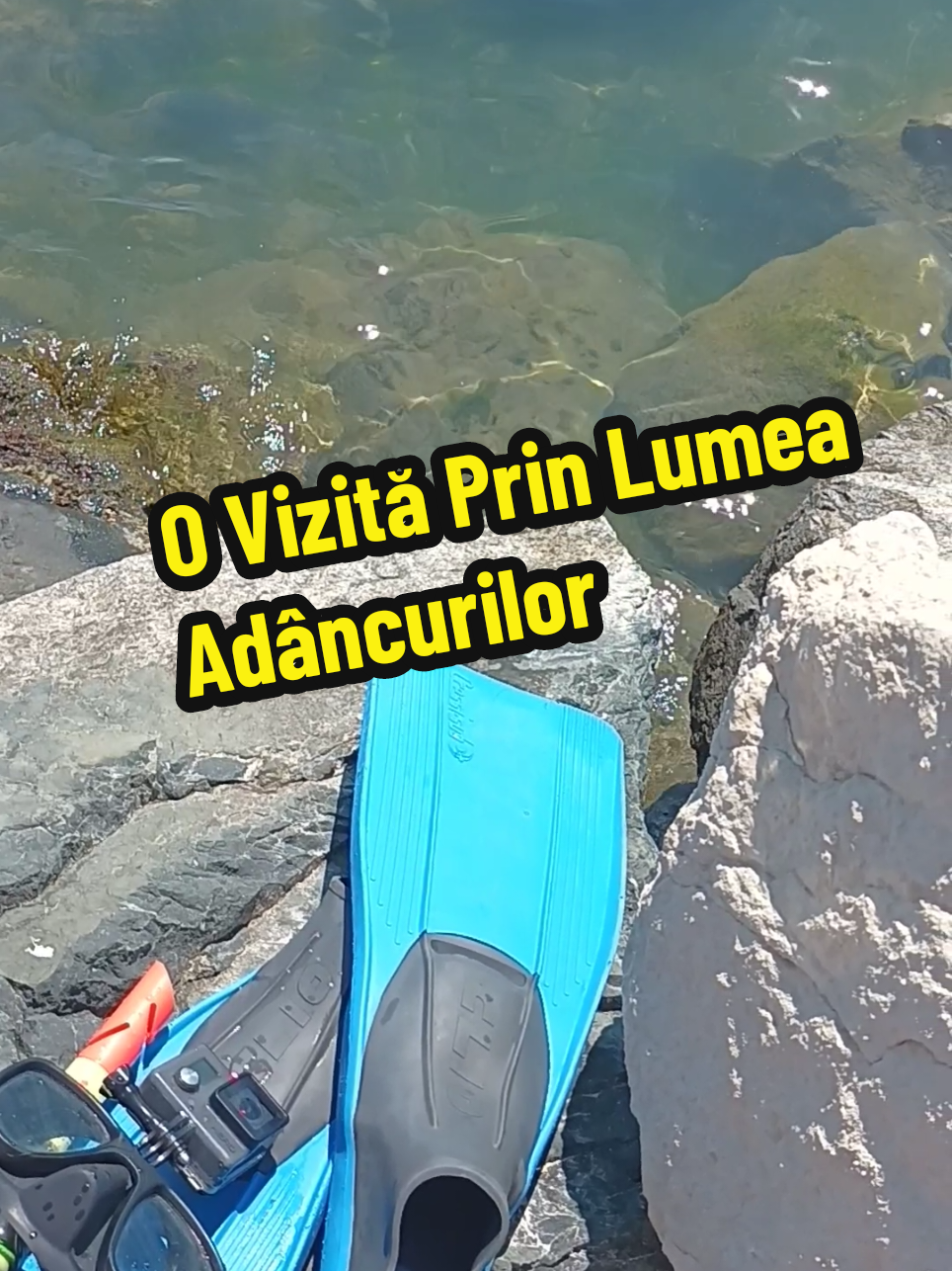 @👉 Băiatul De La Mare 🌊