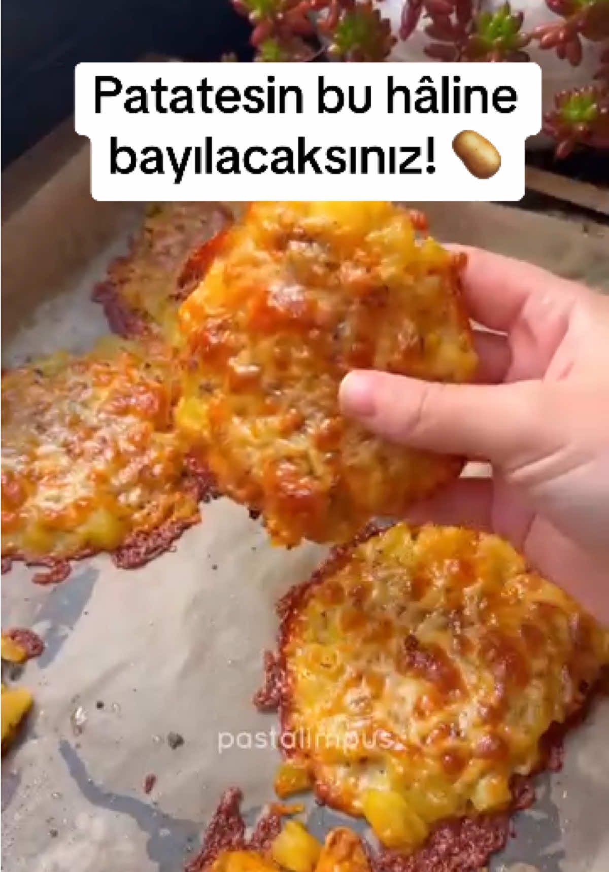 @nefis.tarifleriniz