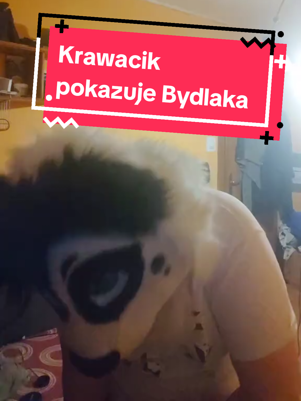 @Krawacik Panda
