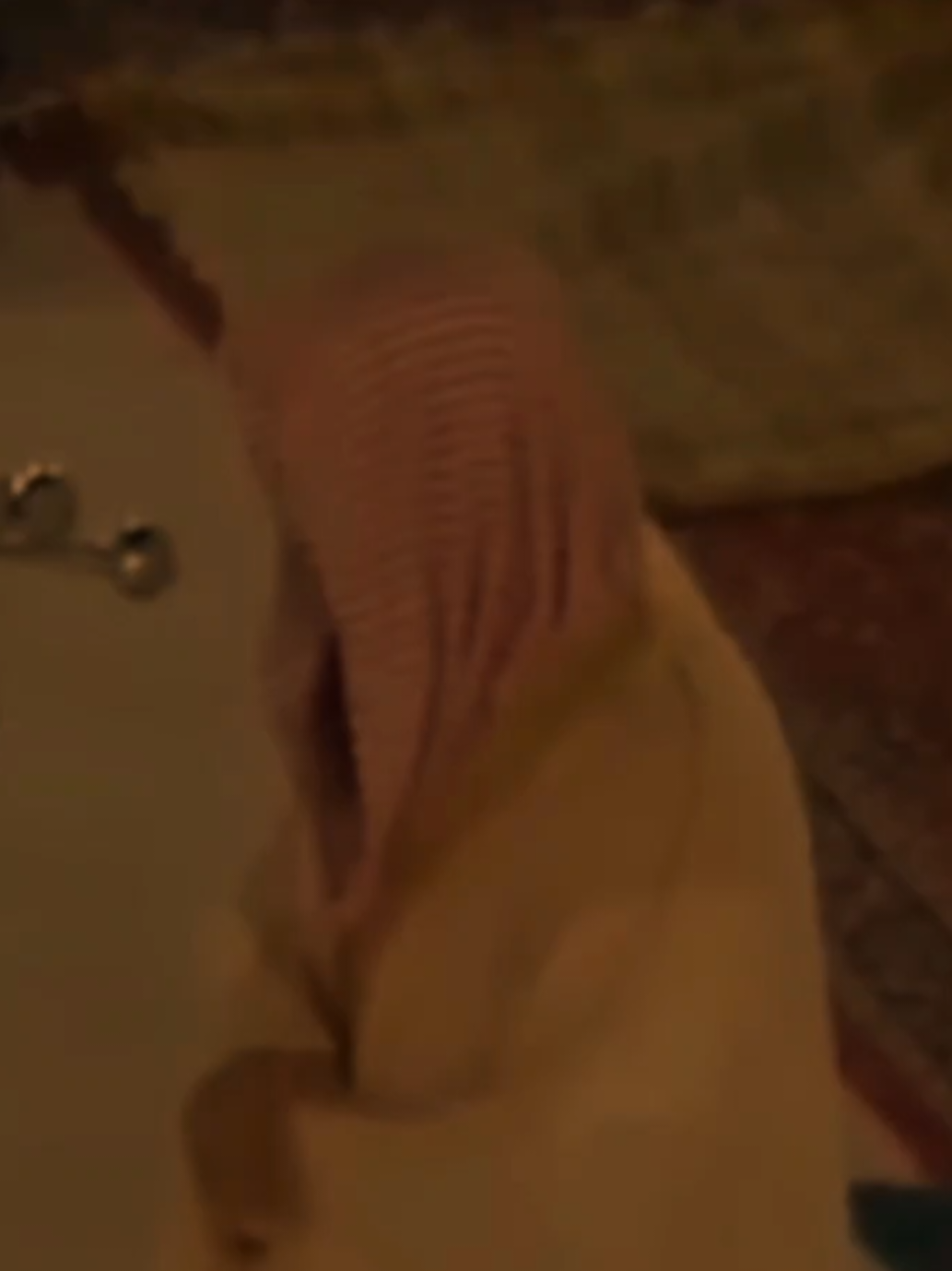 @𝐇𝐚𝐦𝐨𝐨𝐝
