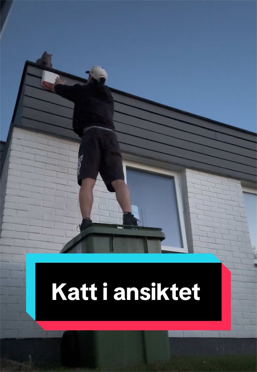 @Elias Von Klintheim