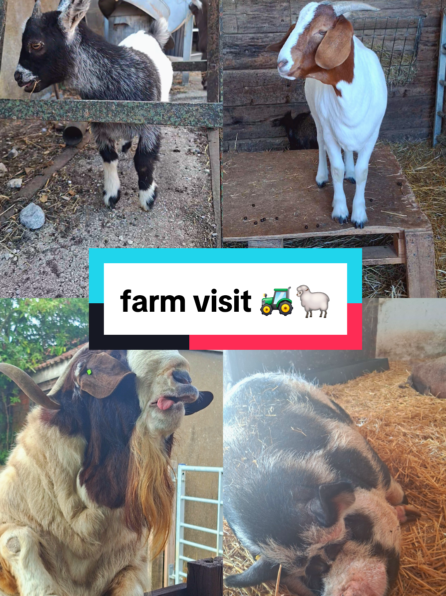 @Nats 🌸