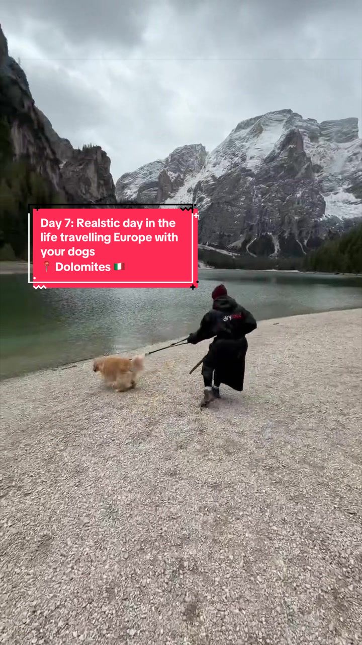 @Sheldon The Retriever