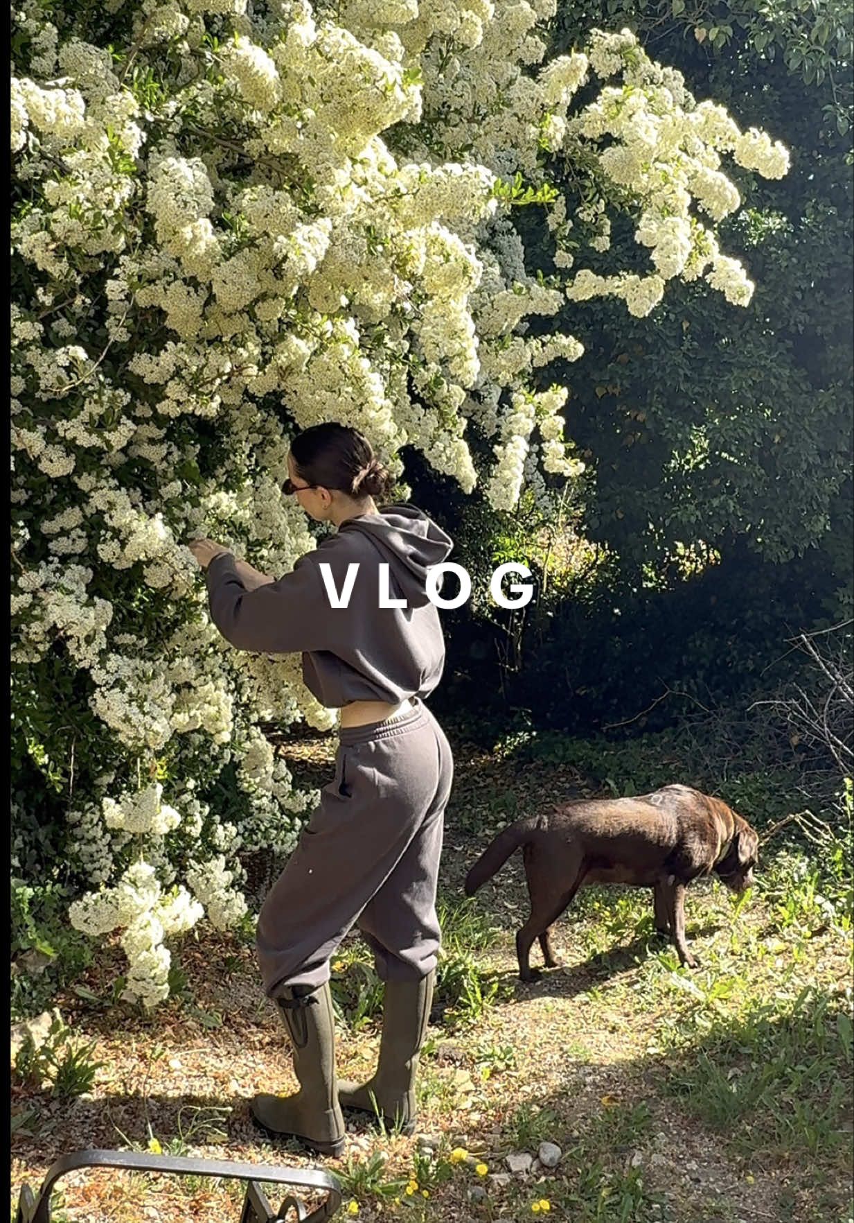 @C&eacute;line M.