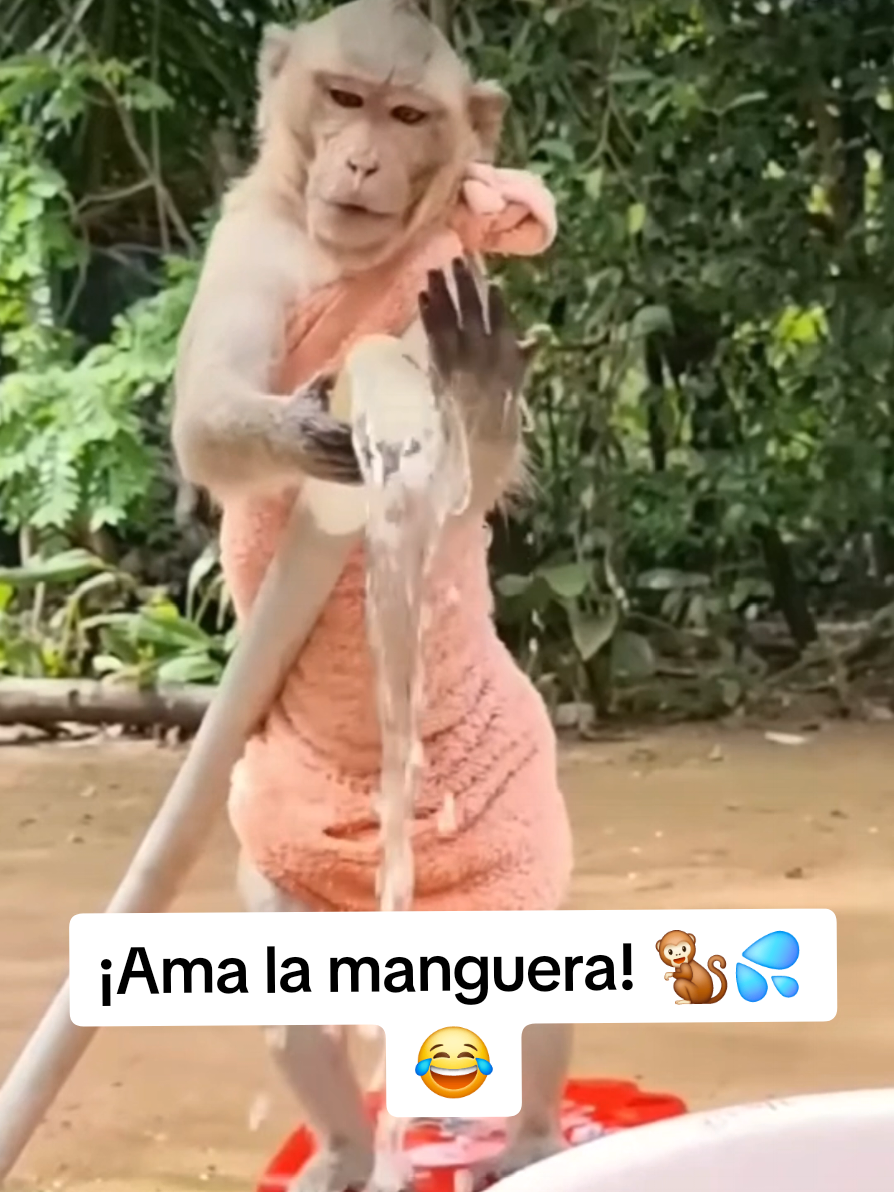 @monkeyYAYA