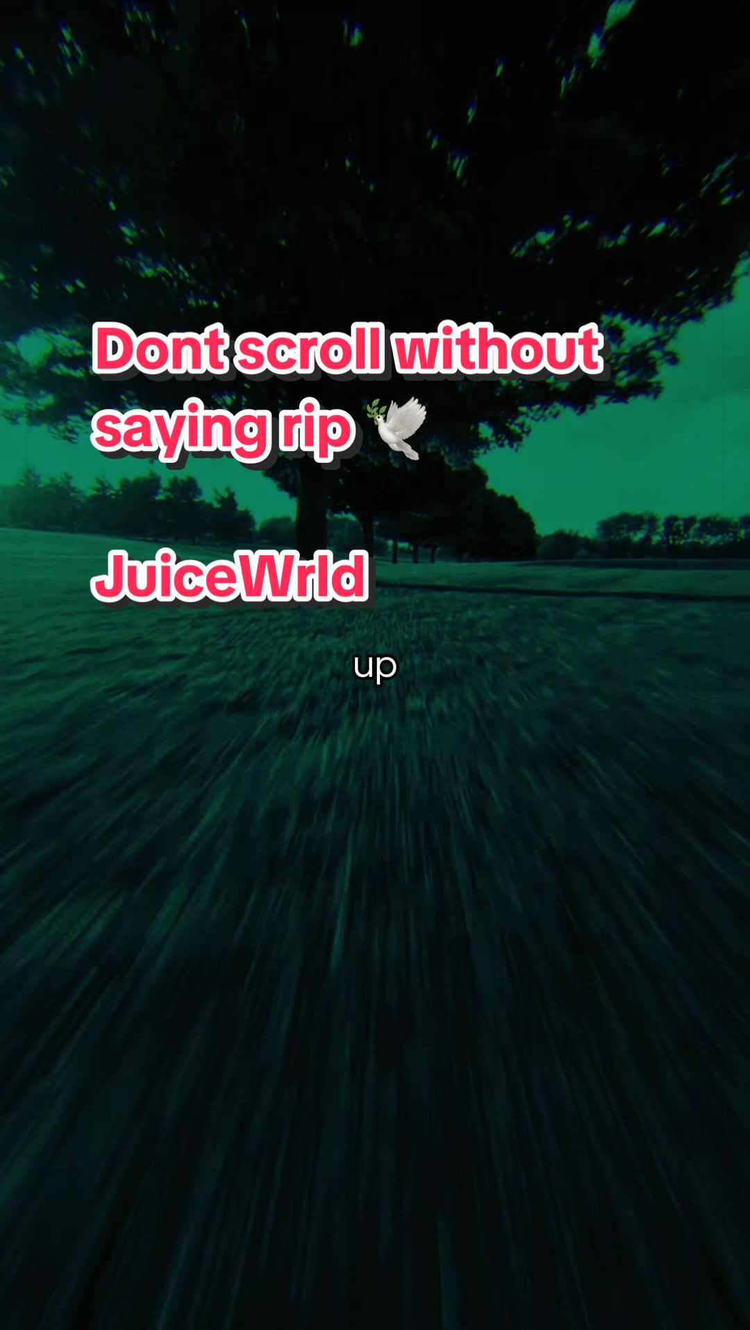 @music-vibes
