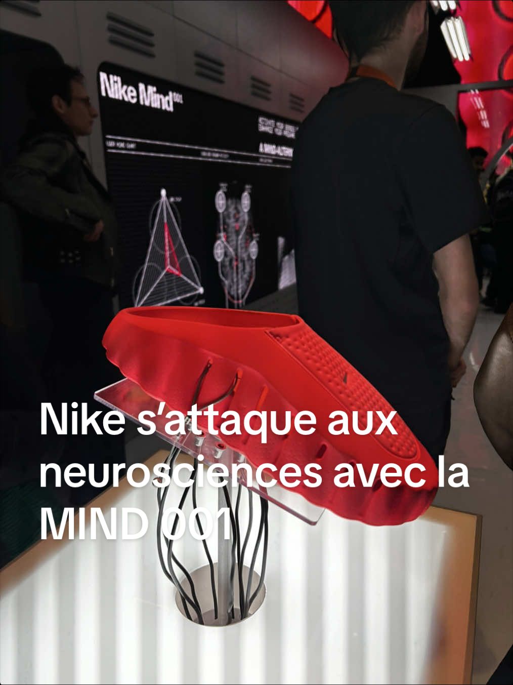 @ernestdominique
