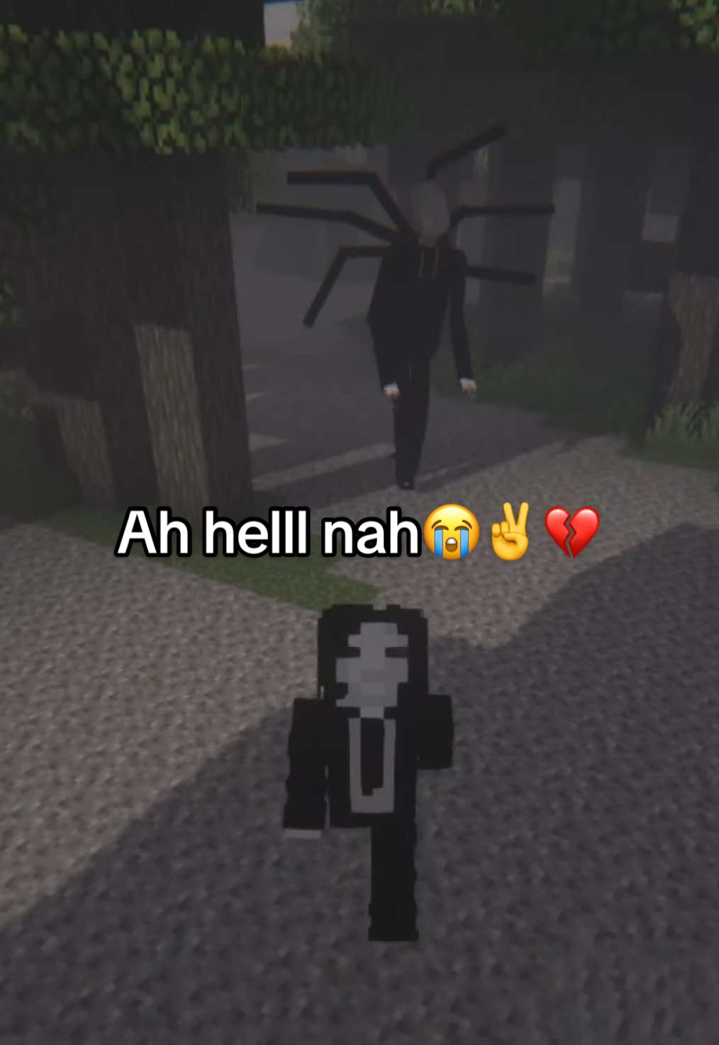 @Nausica