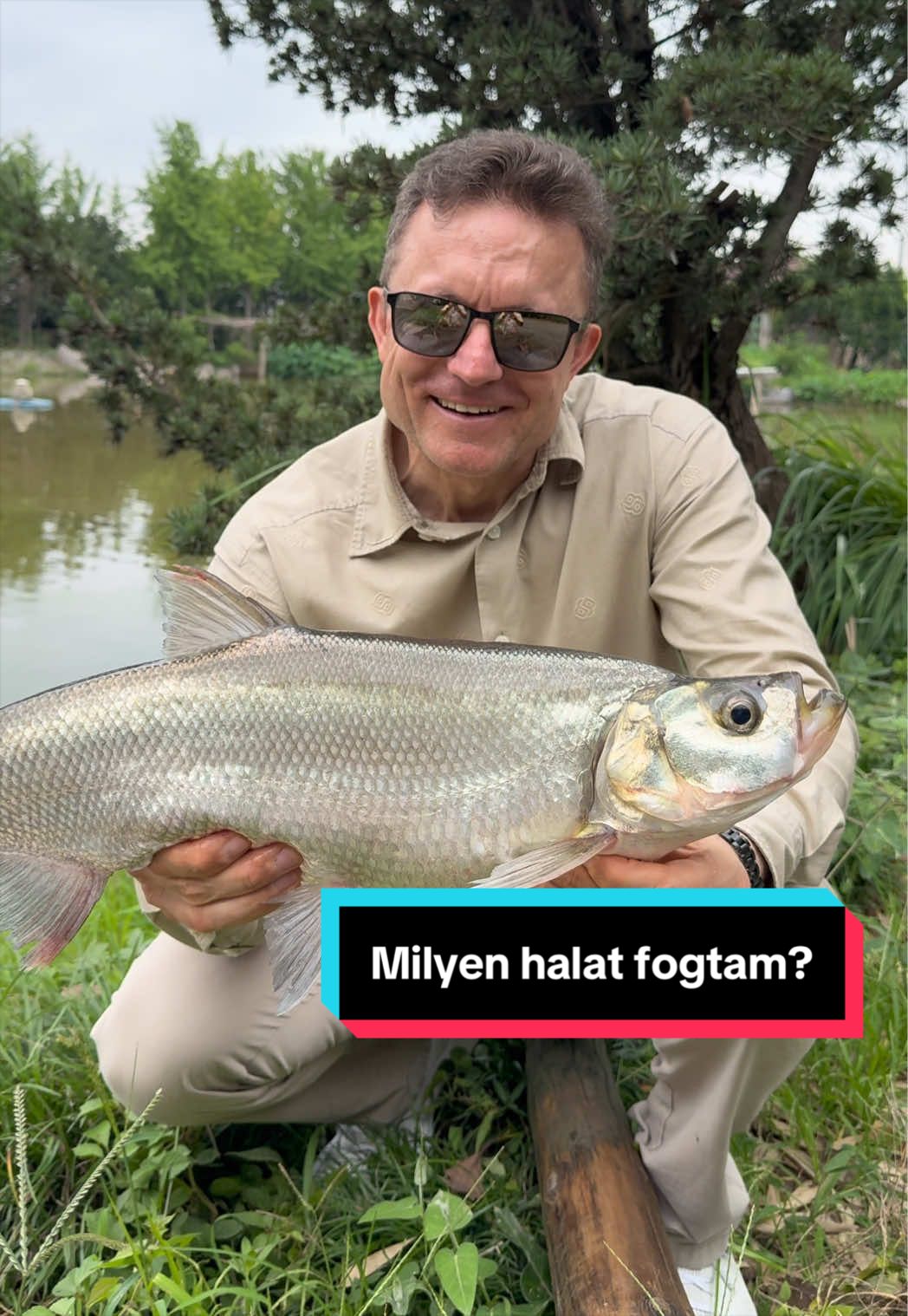 @D&ouml;me G&aacute;bor