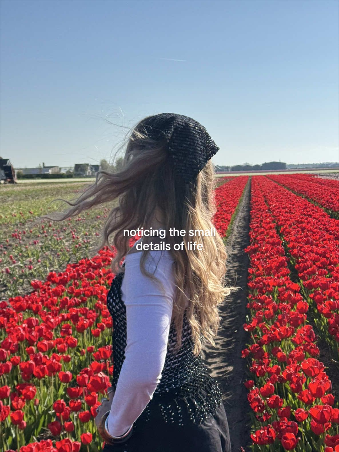 @Maja Hägg ⋆˚꩜。