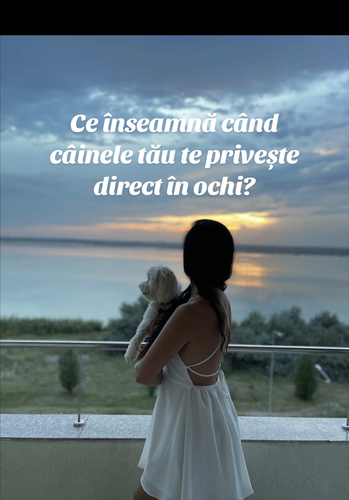 @Dr. Nicola Ioana