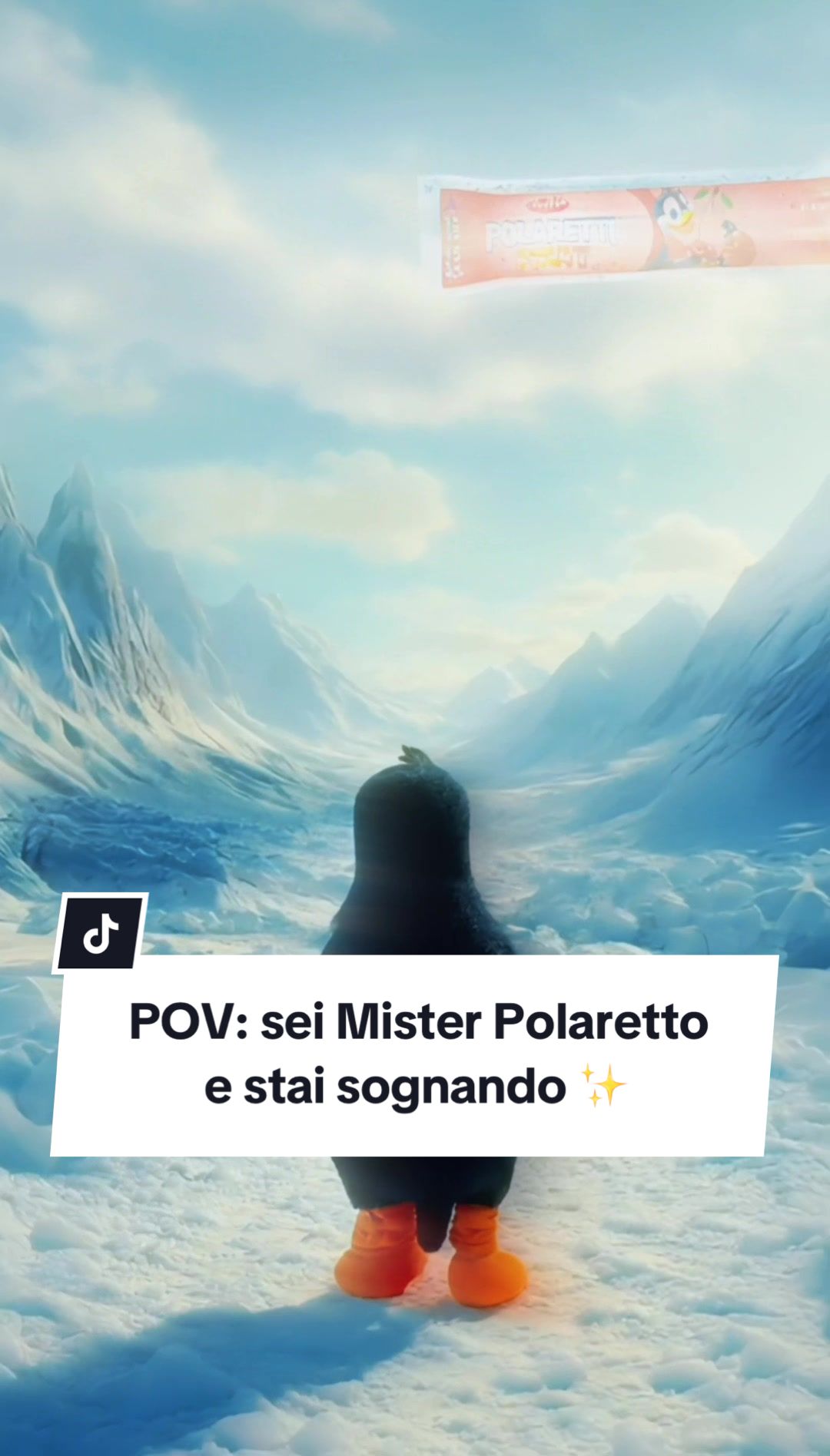 @Polaretti Dolfin