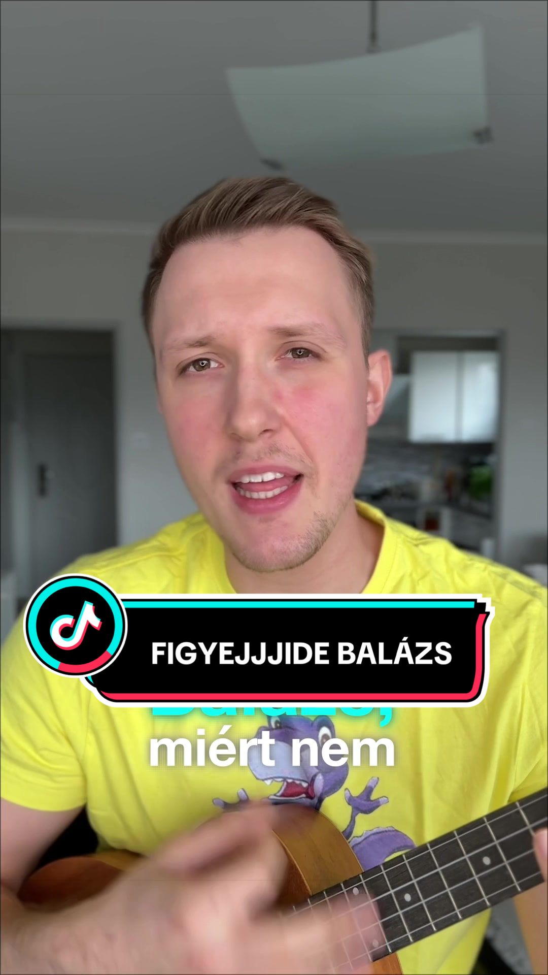 @Pál Péter