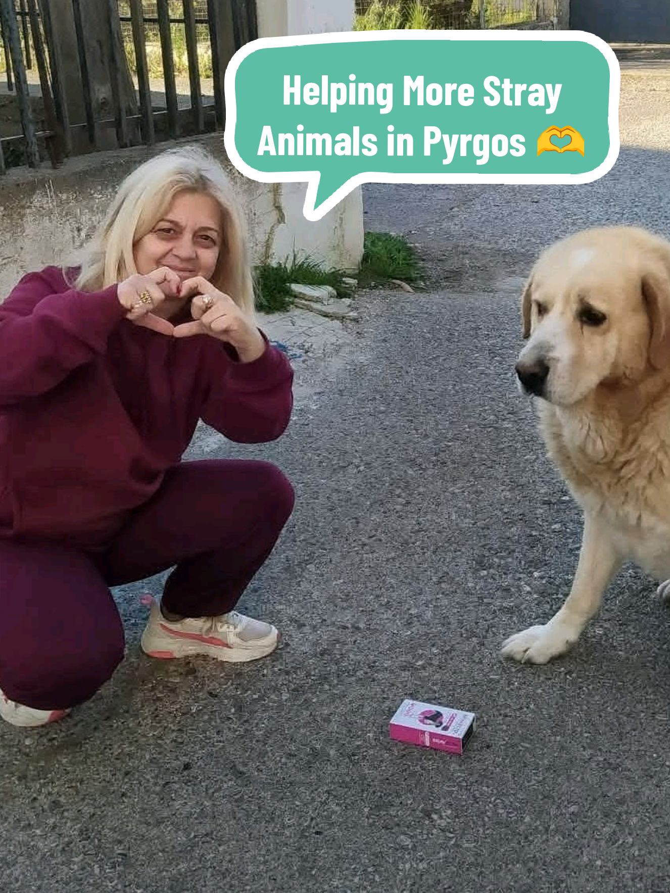 @Greek Animal Rescue